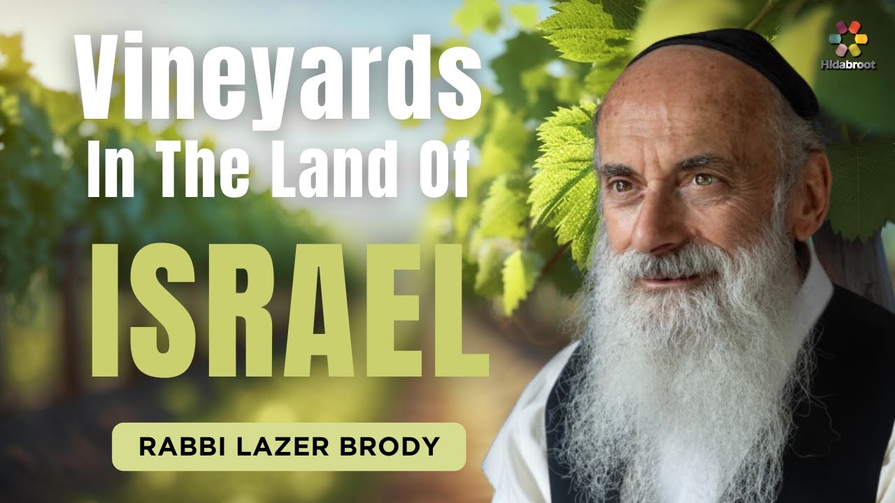 Vineyards of Israel: Fulfilling The Bible Prophecy - Rabbi Lazer Brody