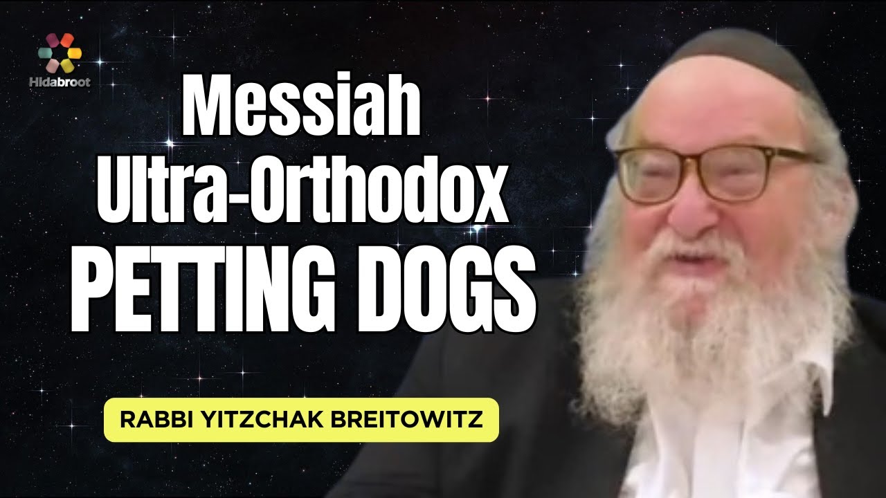 Q&A: Haredi Judaism, Messiah & Humiliation Vs Retaliation - Rabbi Yitzchak Breitowitz