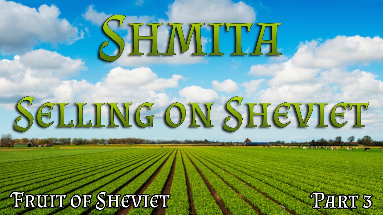 Shmita | Fruit & Vegetables of Sheviet - Selling Sheviet Fruit & Vegetables