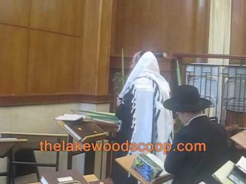 Rosh Hayeshivah BMG Reb Malkiel Shlita Lulav