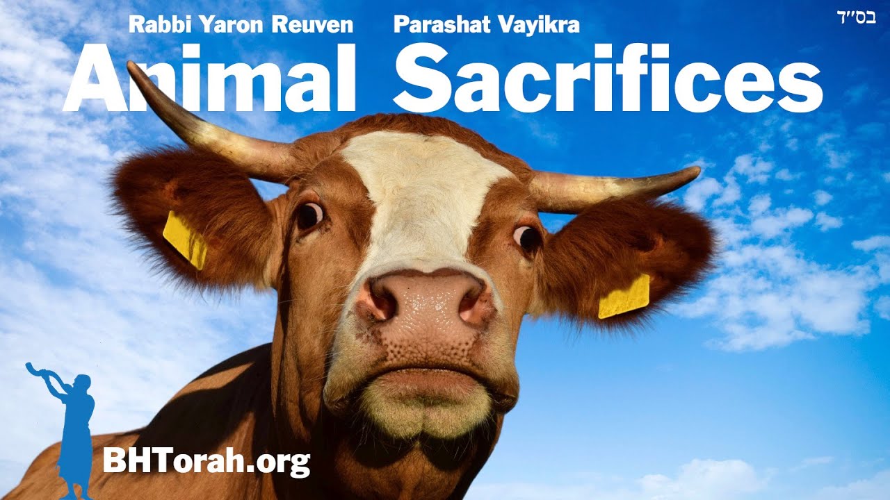 Parashat Vayikra - What We Learn From Animal Sacrifices