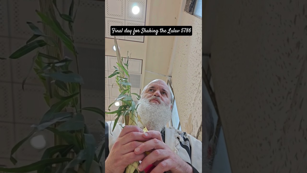 Final day for Shaking the Lulav 5786
