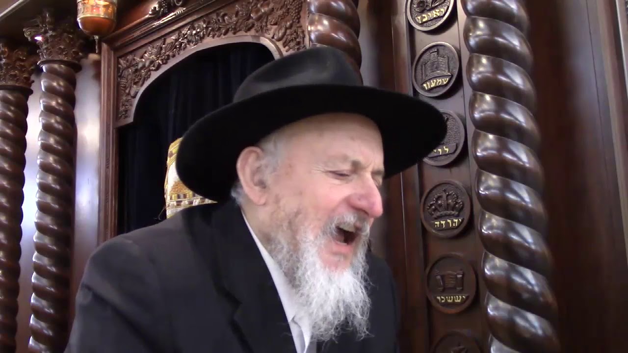 הרבי וסדרת אגרות קודש הרב שלום בער לוין שנת תשע"ט