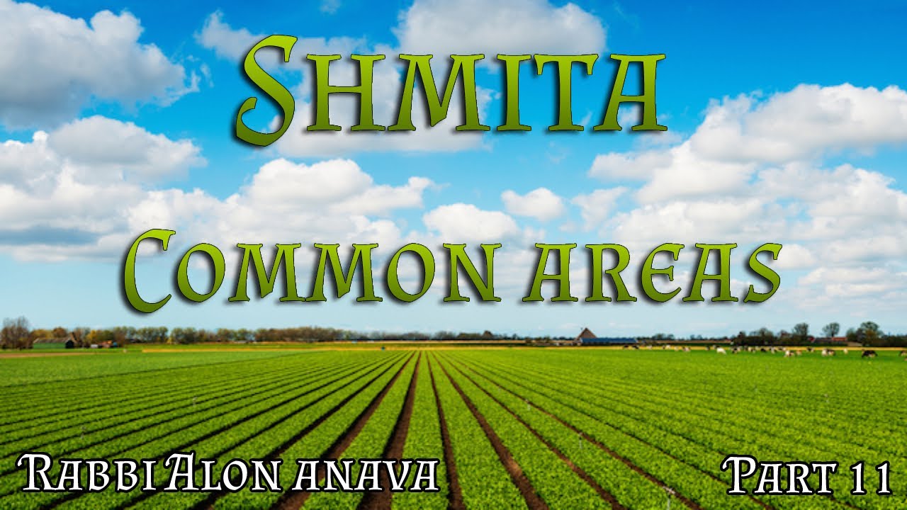 Shmita | Part 11 - Common area gardens and shared building