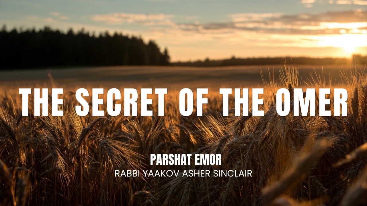 The Secret of the Omer -  Parshat Emor