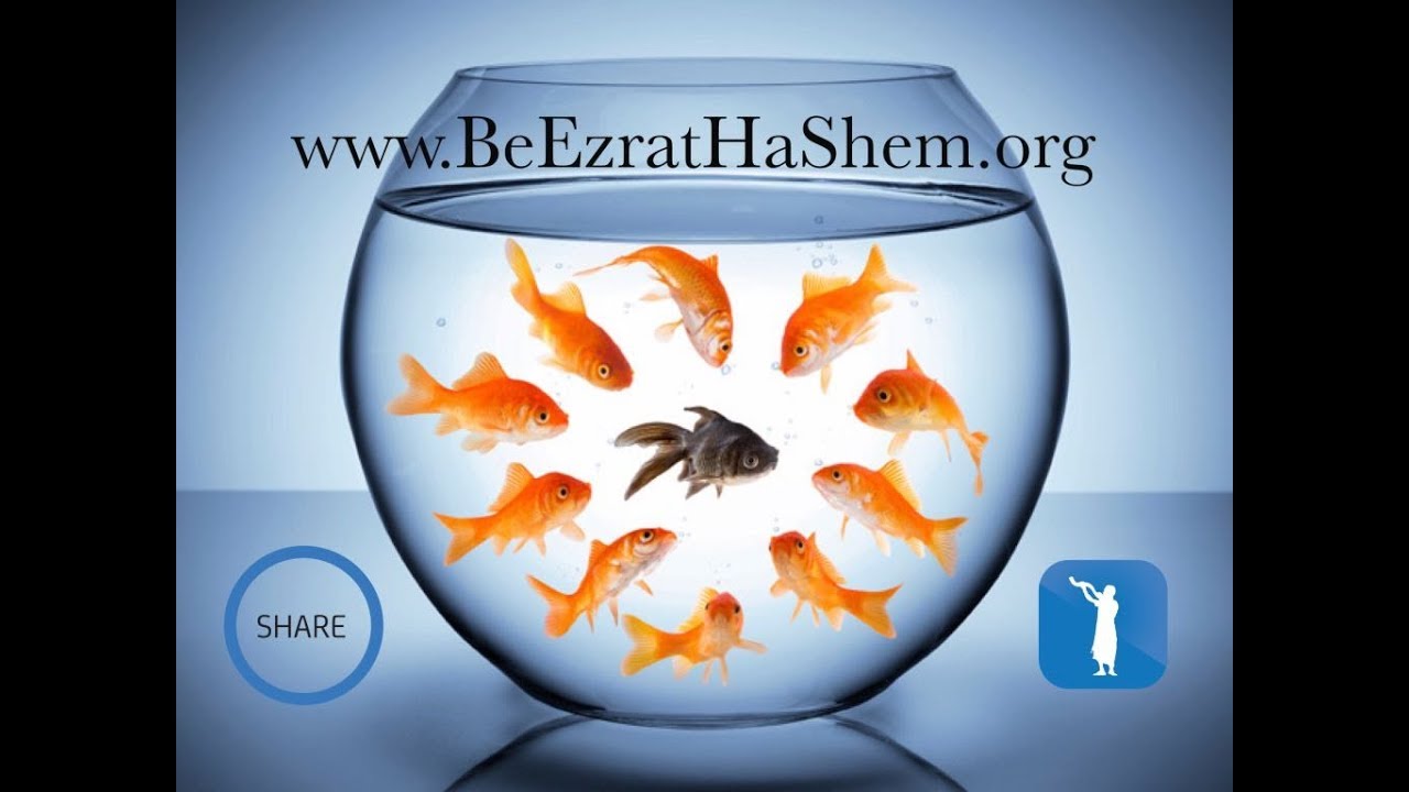 Is There Racism In The Torah? (6 minutes)