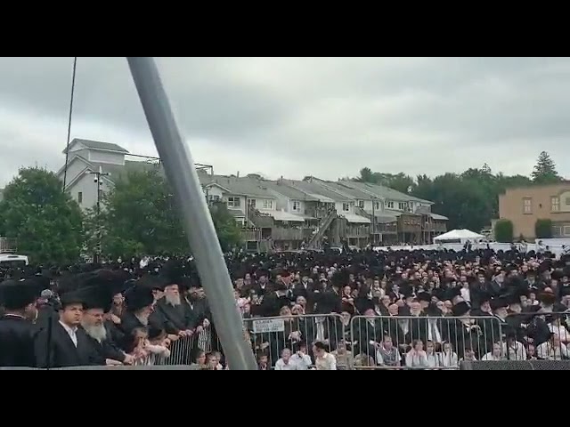 שמחת החתונה בבית גור