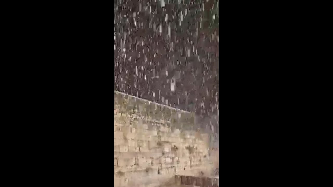 Israel Snow
