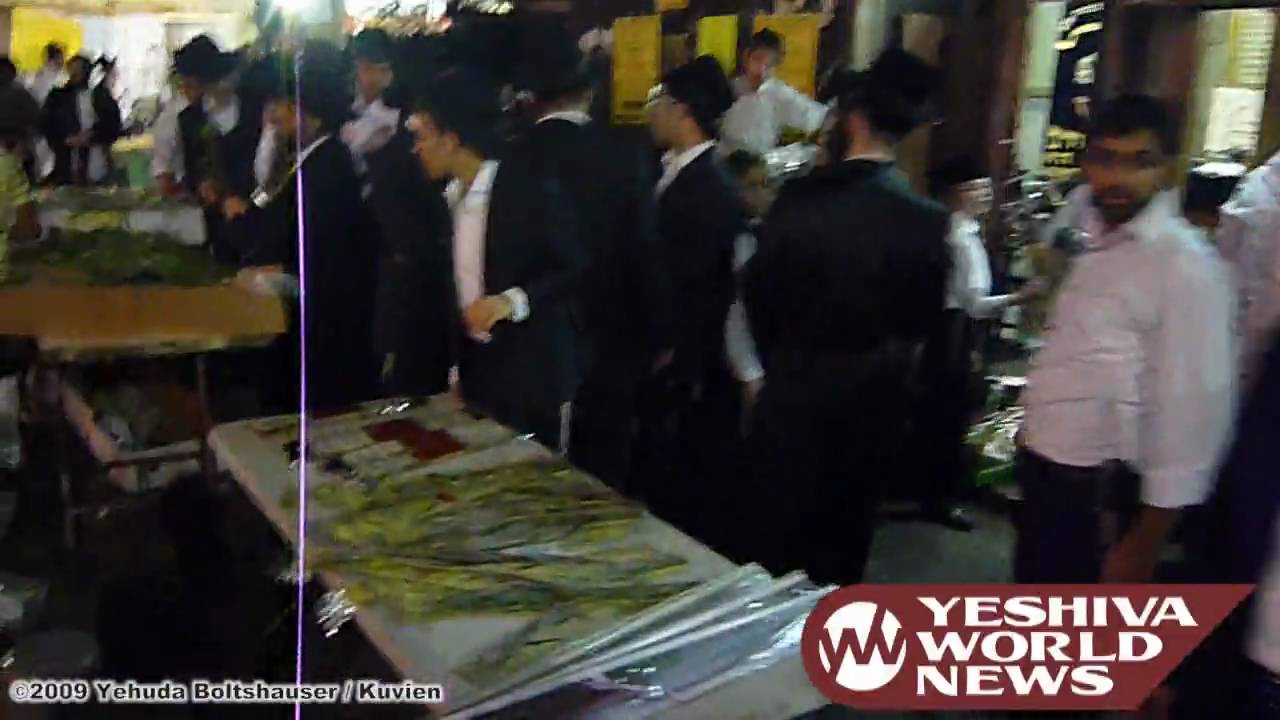 Erev Hoshana Rabah in Bnei Brak