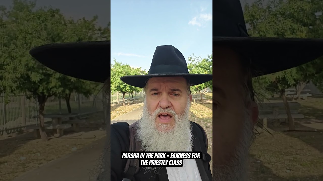 Parsha in the Park - Fairness for the Priestly class