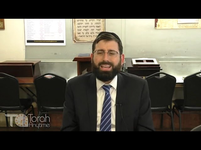 Parshas Bechukosai: "The Wolf Will Dwell With The Lamb" For Real? Part 2