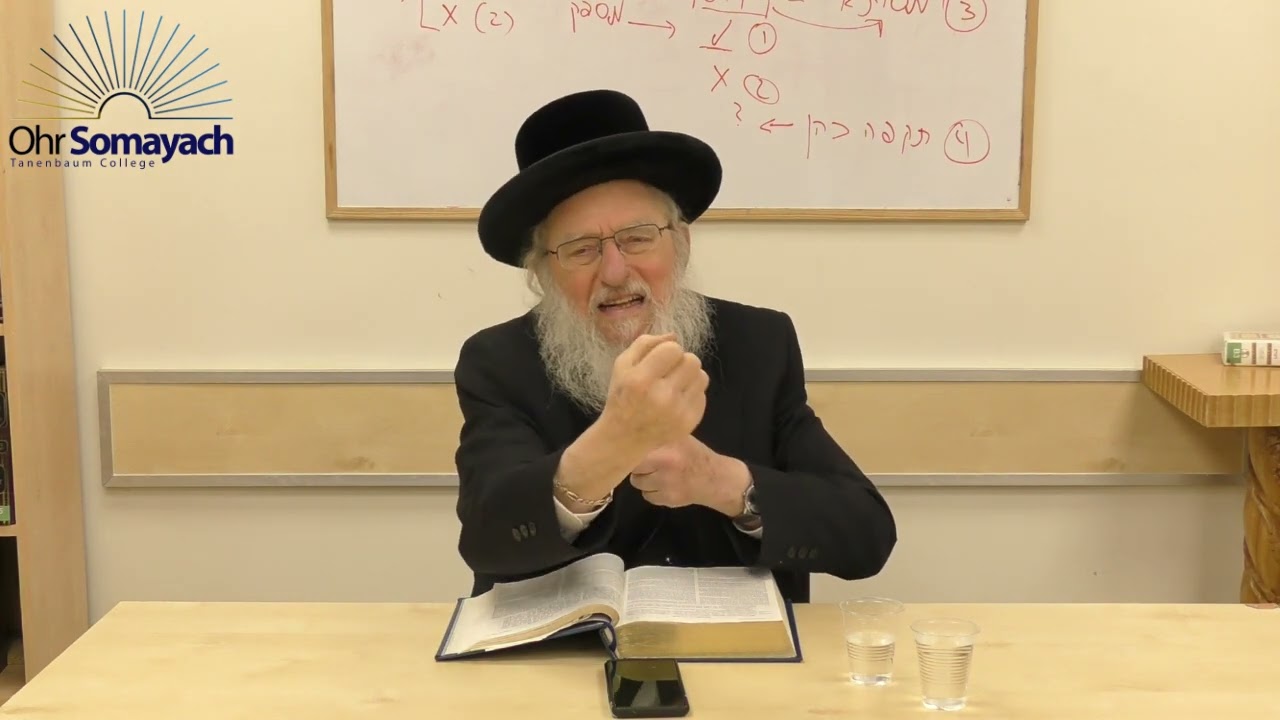 Rashi on Chumash Part 23   The Birth of Yaakov and Eisav (Rabbi Dovid Gottleib) (Jewish Philosophy)