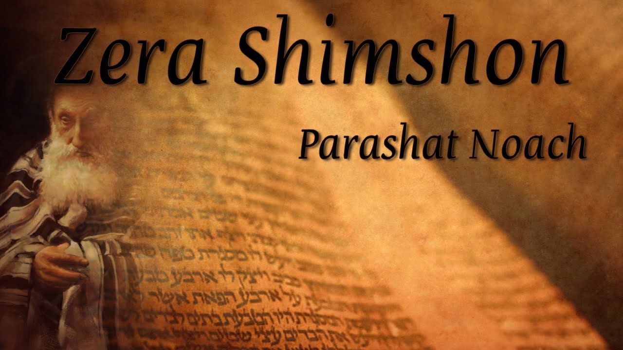 Zera Shimshon | Parashat Noach - 'Don't cross red lines' - Rabbi Alon Anava