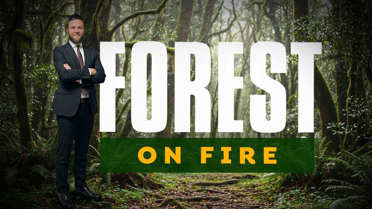 Are You Lost In the Forest Of Life?