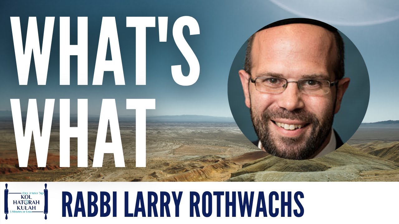 What's What - Rabbi Larry Rothwachs | Parshas Beshalach