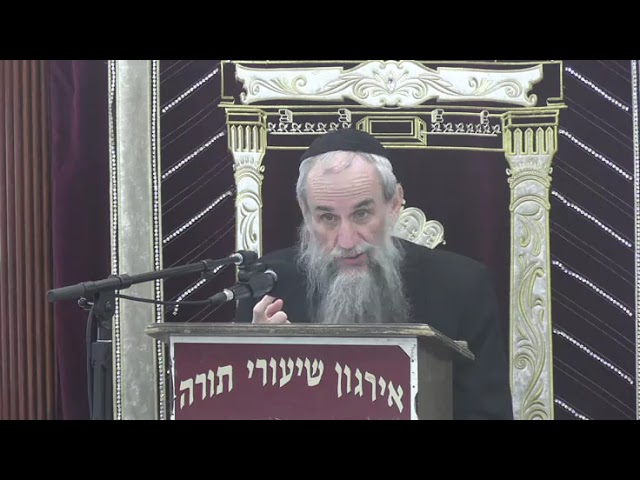 Household Repairs On Chol Hamoed - Rav Zev Smith