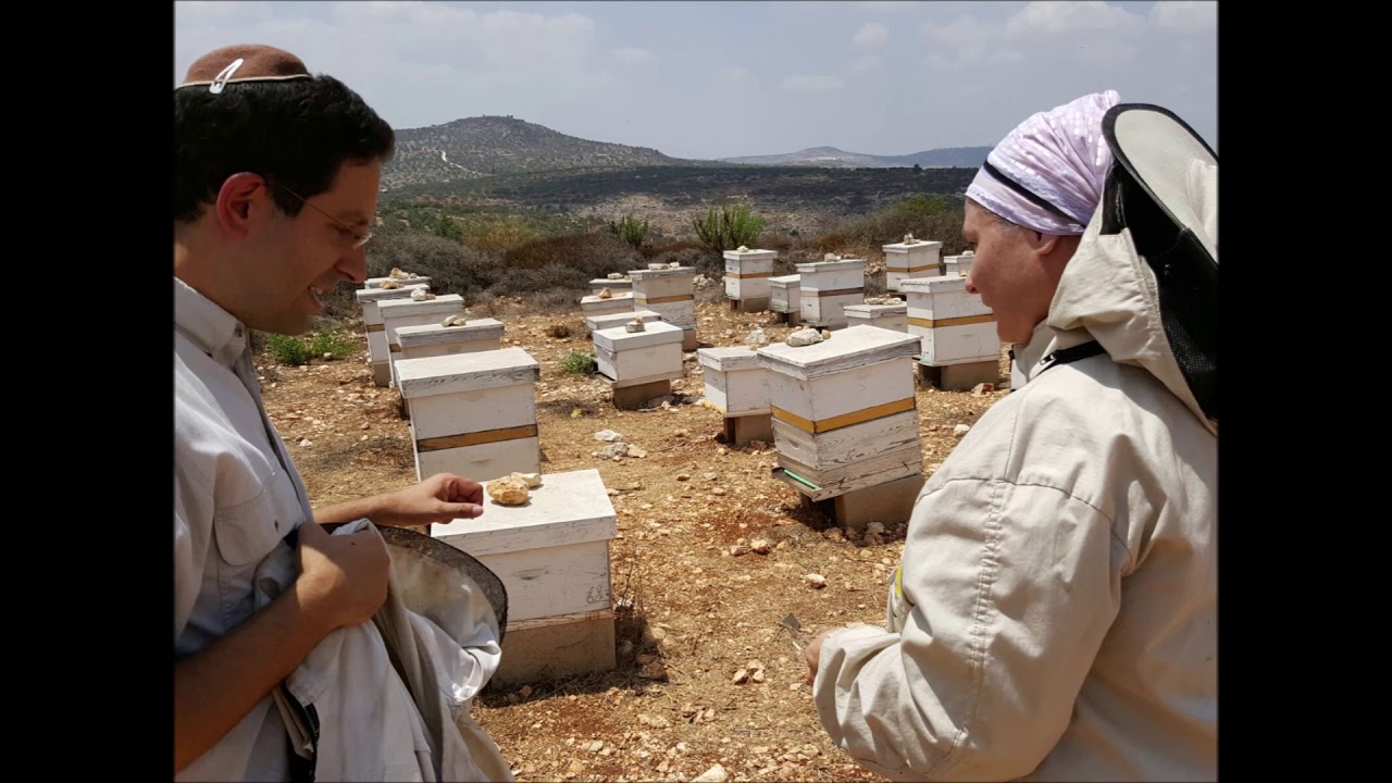 Inside Israel Today: The Honey and Stinging of Israeli Democracy