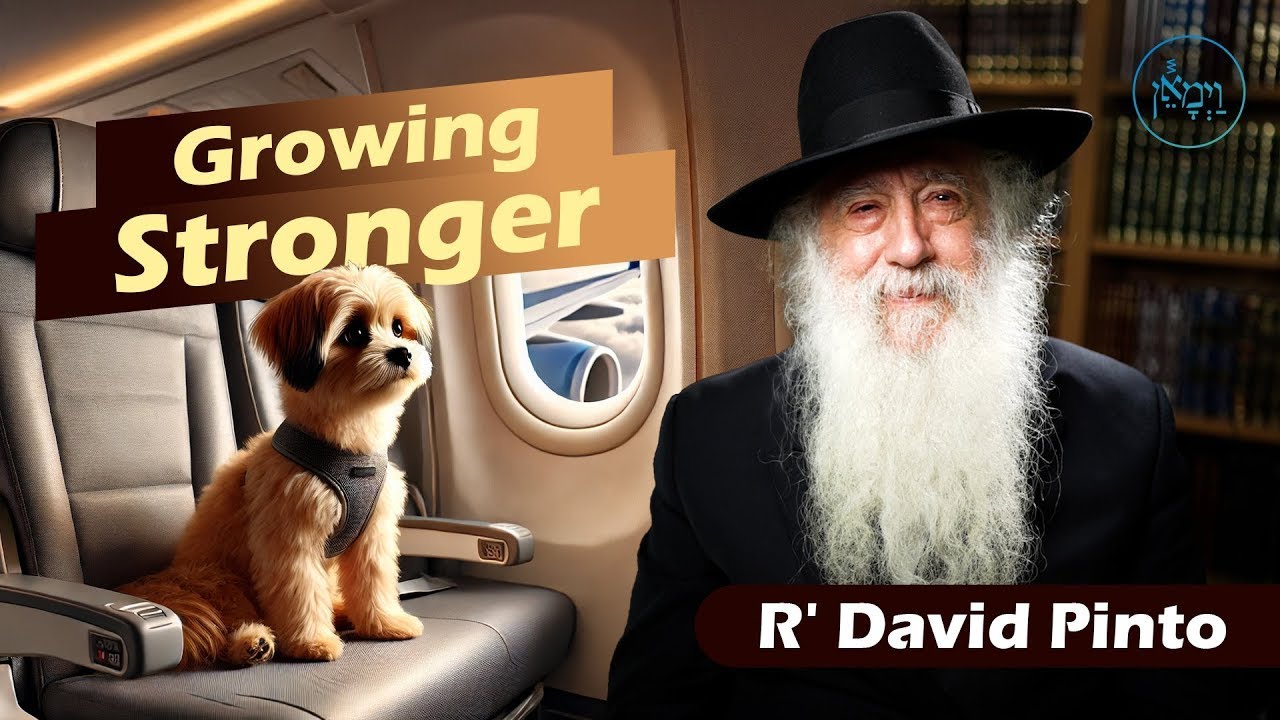 Growing Stronger - Rabbi David Pinto