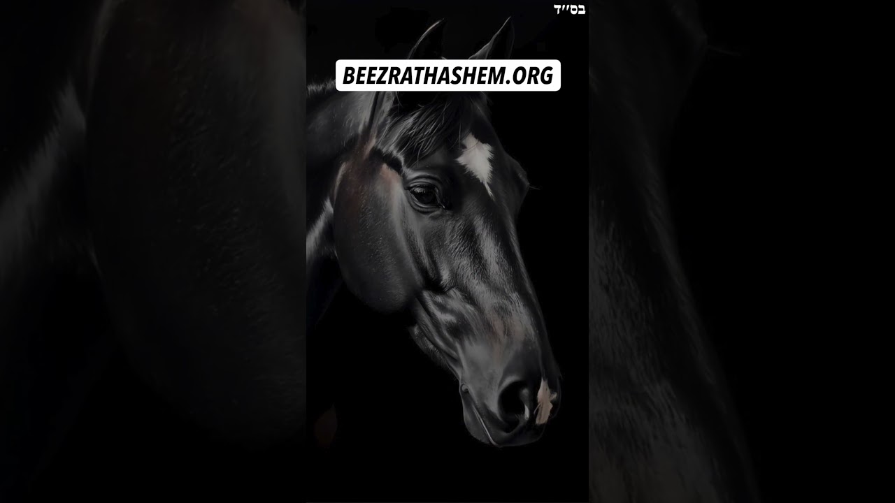 Reincarnated As A Horse #Torah #Jewish #RabbiYaronReuven