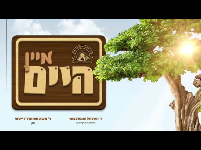 Machna Chaim Veshulem Munkatch Official Camp Song 2019 | מחנה חיים ושלום מונקאטש