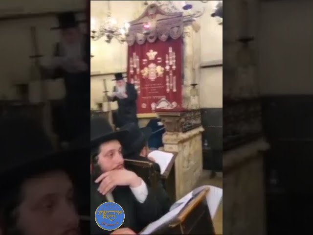Liminov Rebbe Singing In The Maharal's Shul In Prague - Nissan 5784