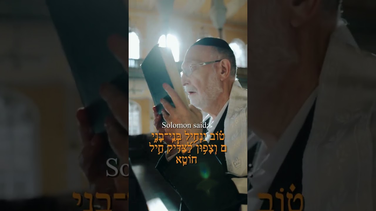 The Difference Between Rich and Wealthy Is Everything #Torah #Wealth #JewishWisdom #Proverbs #shorts
