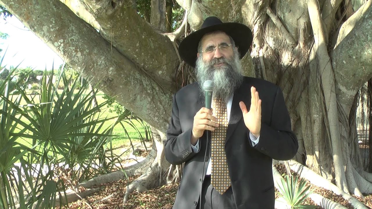 Rabbi Minkowicz Weekly Torah Lesson Parshat Va'eira 12/23/13