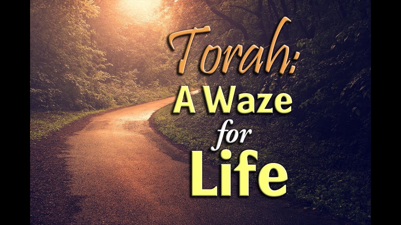 Torah: A Waze for Life - Rabbi Avraham Reisman