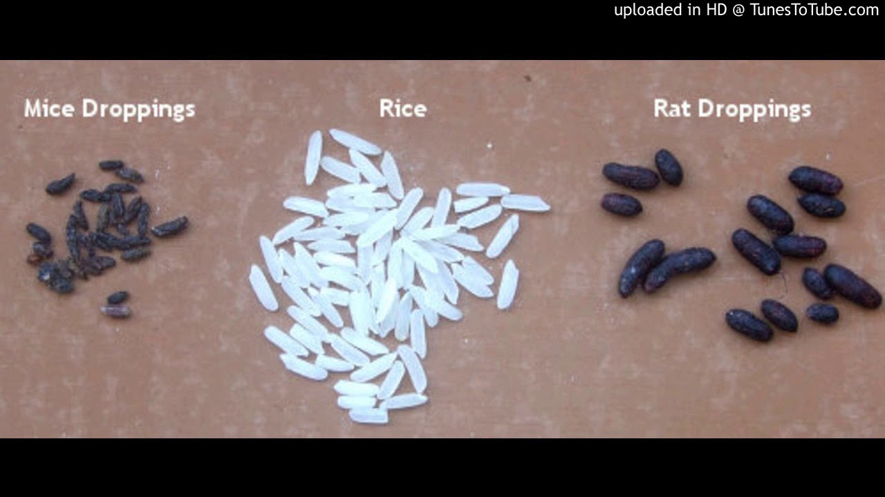 On HealthFoods