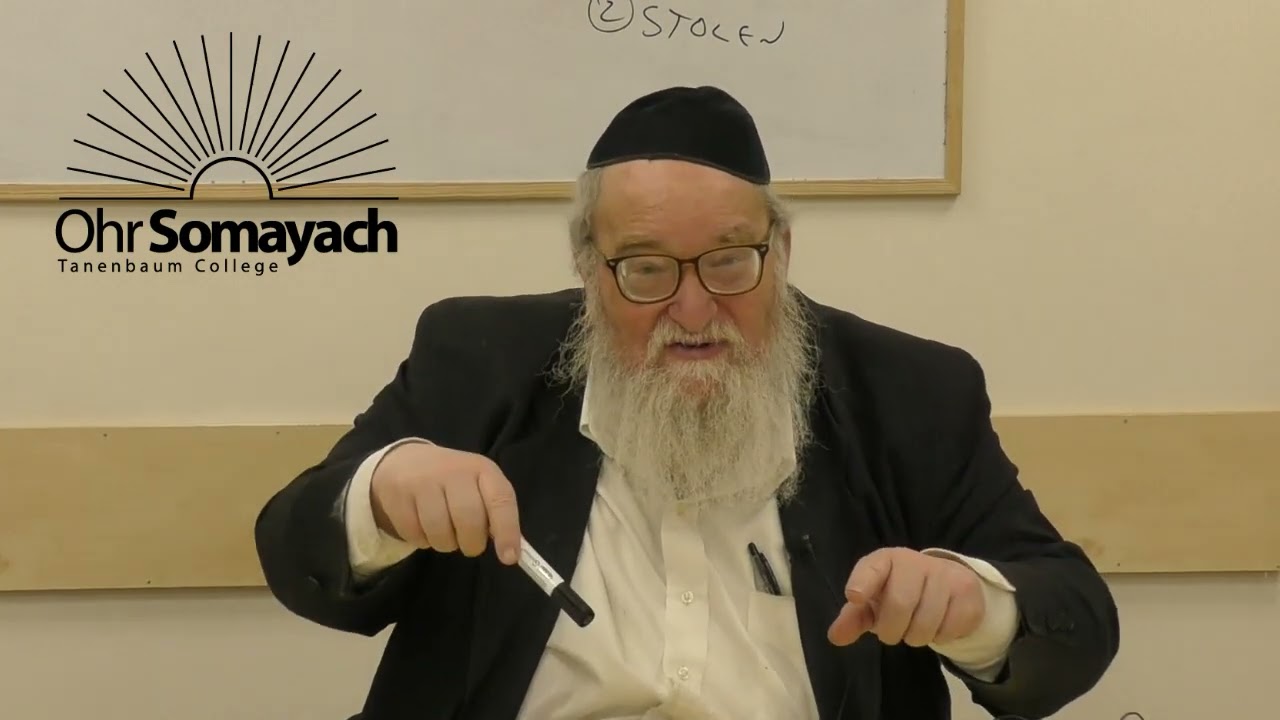 The Offerings of the Princes (HaRav Yitzchak Breitowitz)
