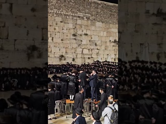 Choir of Birds Sing Along With Viznitz Rebbe And Chassidim At The Kosel After Pesach 5784