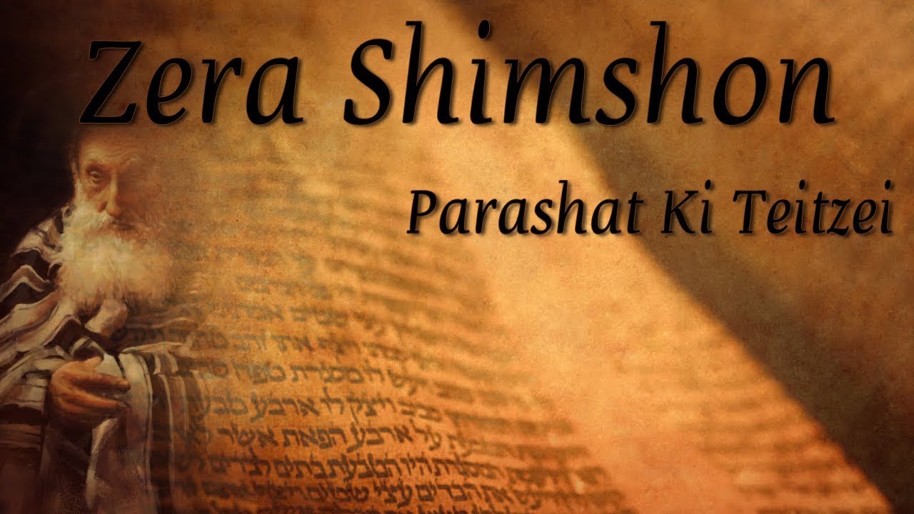 Parashat Ki Teitzei - Zera Shimshon - When you go to war... - Rabbi Alon Anava