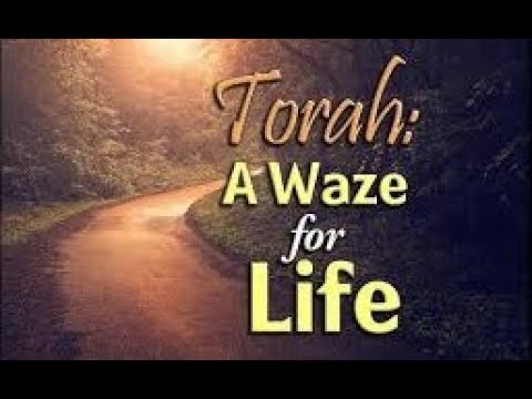 Torah: A Waze for Life - Rabbi Avraham Reisman