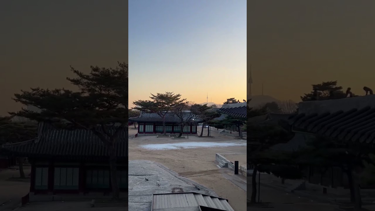 Best view 2022 Seoul #shorts #bestview #2022 #seoul