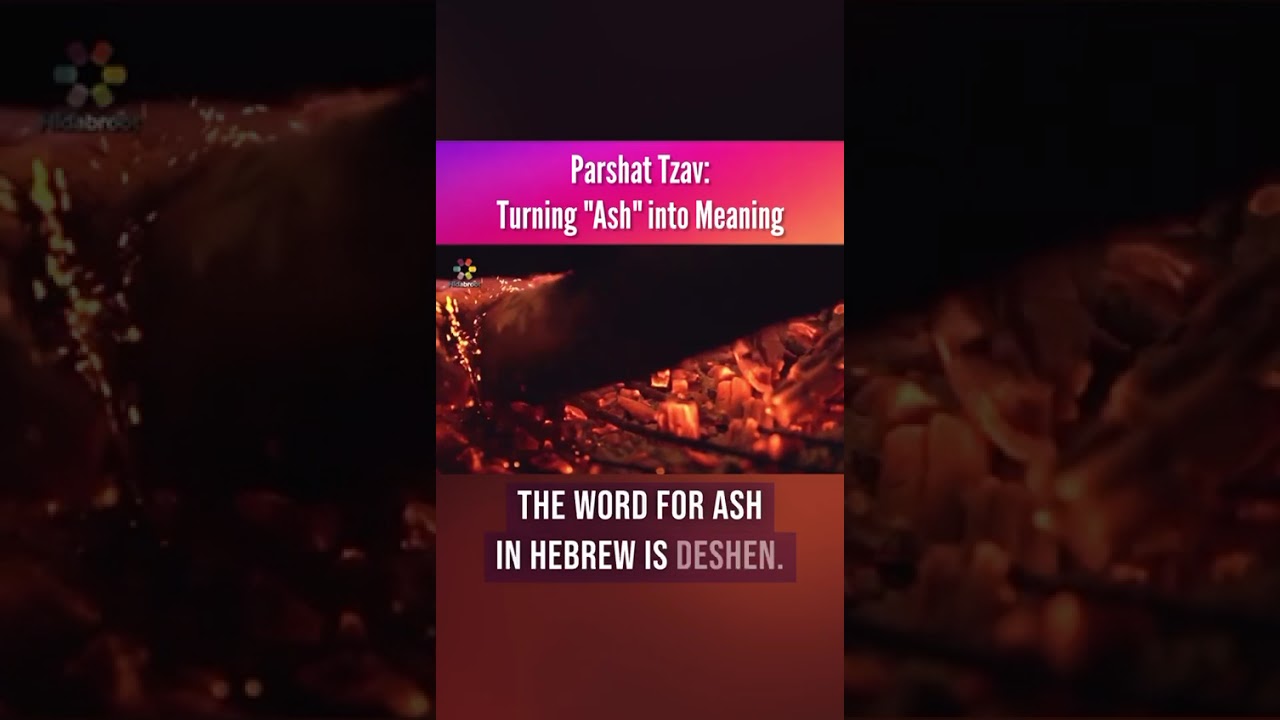 Parshat Tzav: Turning "Ash" into Meaning | Rabbi Asher Sinclair