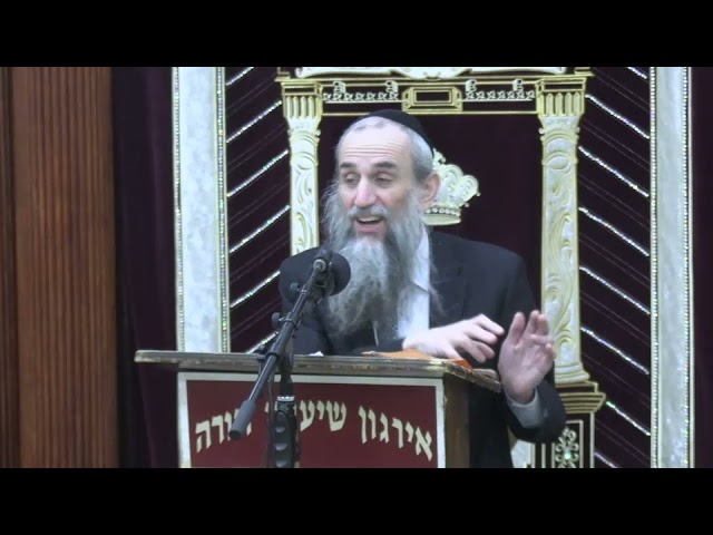 Shivas Haminim In Halacha - Rabbi Yakov Zev Smith