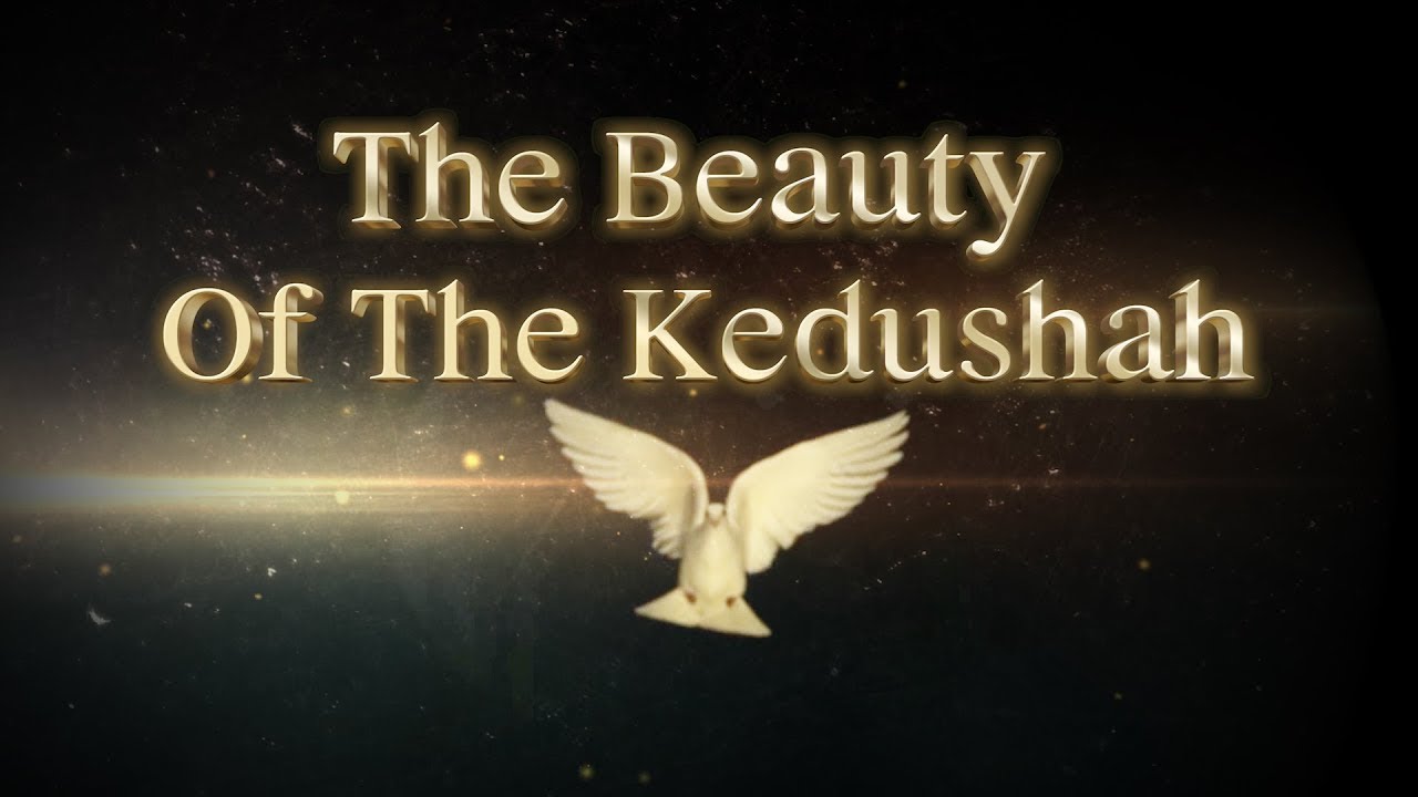 The Beauty Of The Kedushah - Rabbi Yaron Reuven Shlita