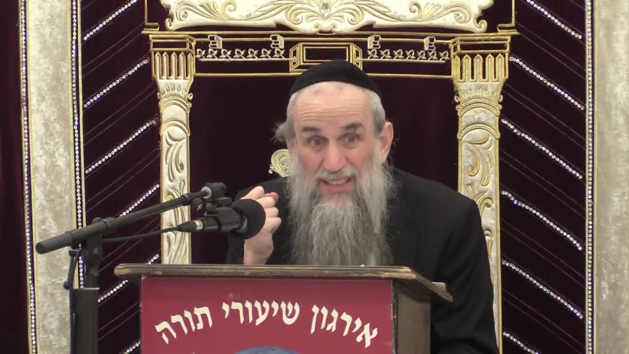 Fried Foods in Hilchos Brachos -  Rabbi Yakov Zev Smith
