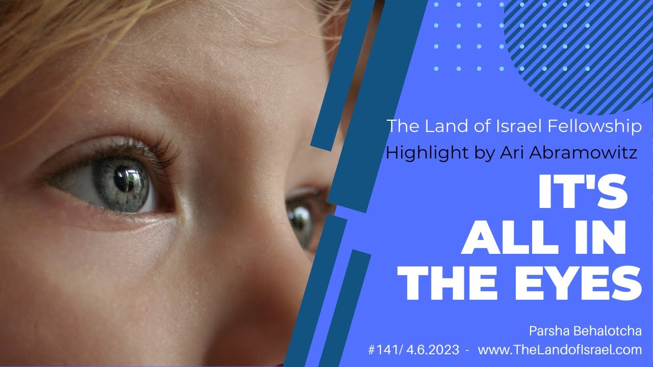 It's All in the Eyes - Ari Abramowitz: The Land of Israel Fellowship