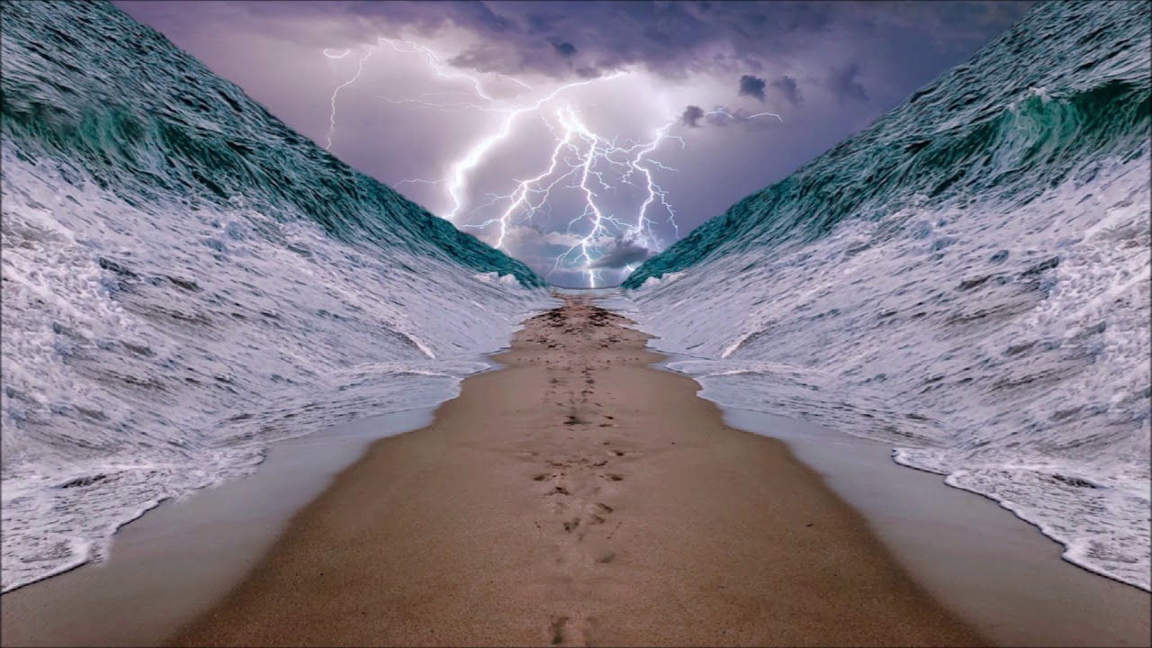 Yishai Fleisher Show: Fight, Die, Pray, Return… or the 5th Option