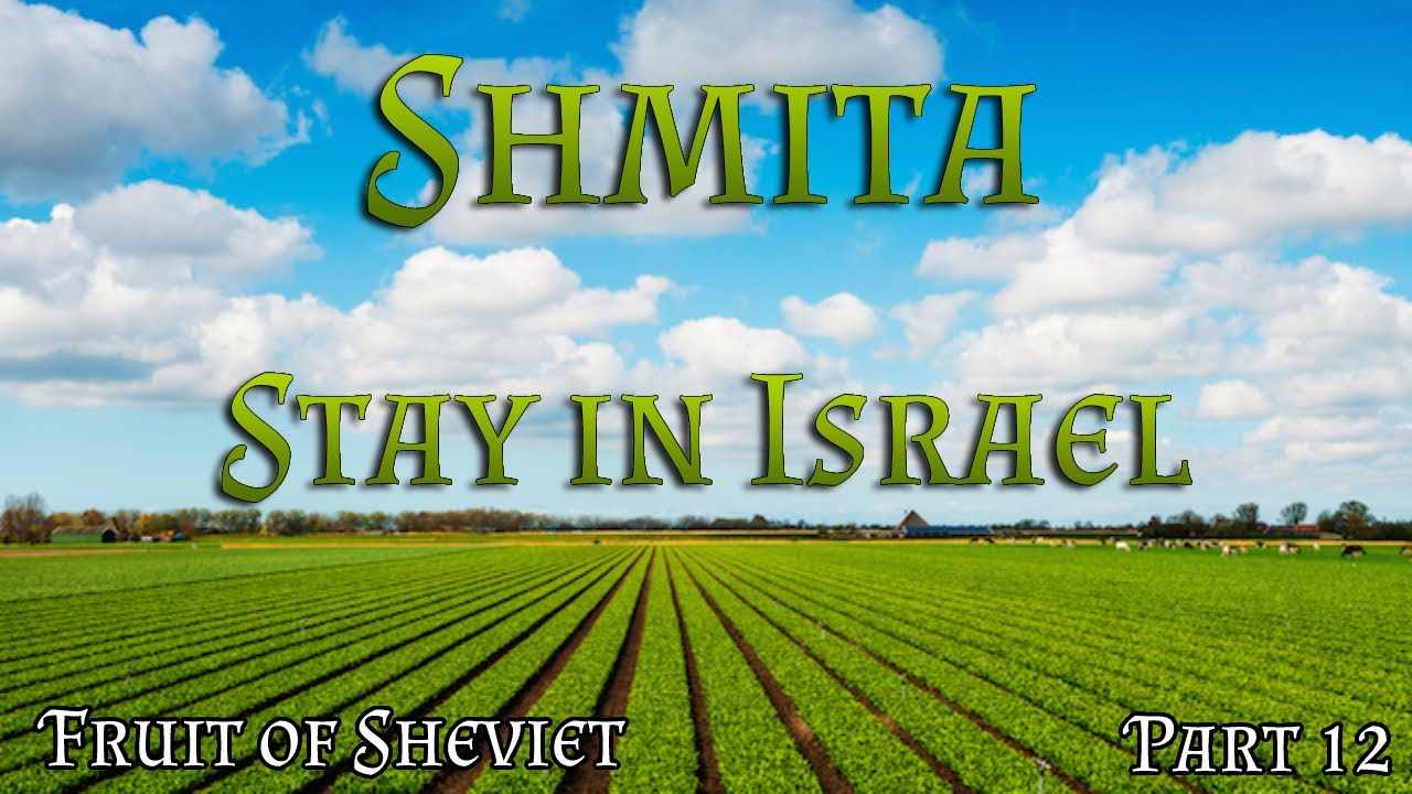 Shmita | Fruit & Vegetables of Sheviet - Shmita fruit must stay in Israel