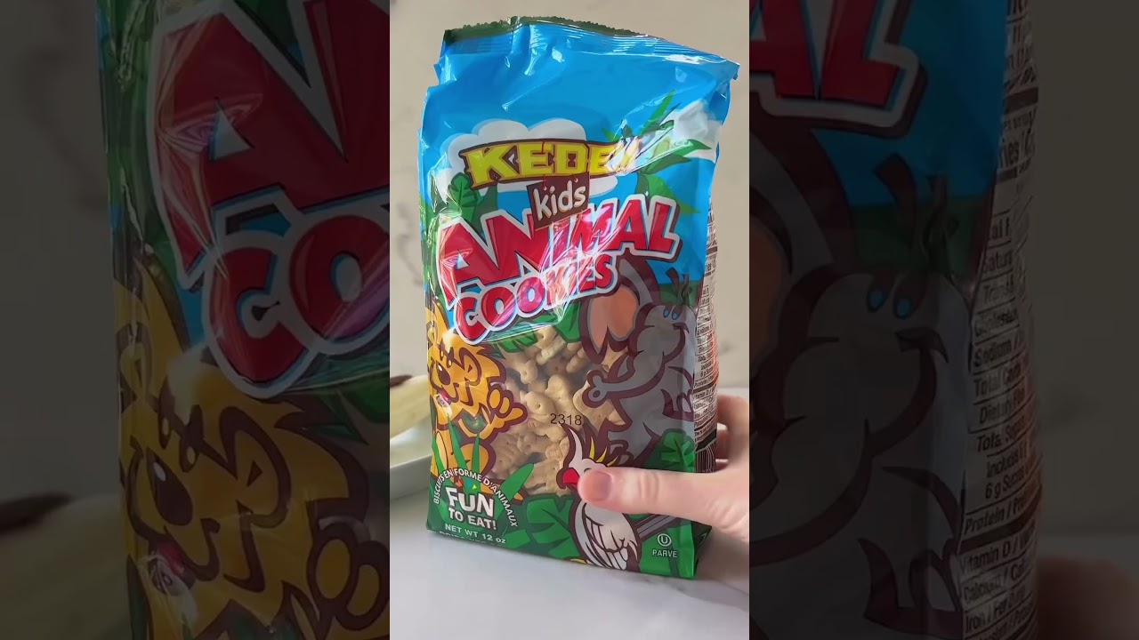 Noah's Ark DIY Food Craft