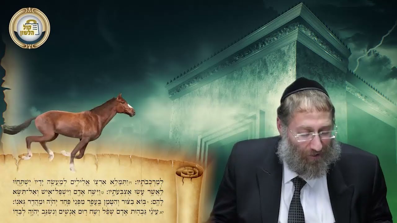 הנ"ך בהמחשה - ישעיהו פרק ב - הרב רפאל נוסבוים