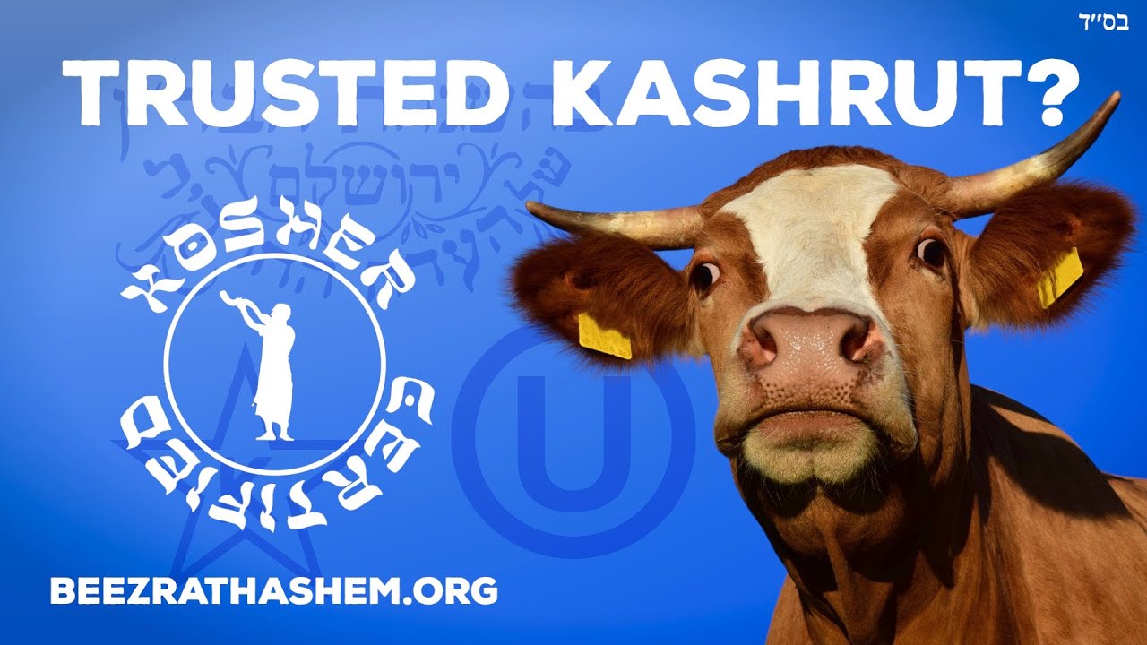 KOSHER MEAT - Which Kashrut Can Be Trusted?
