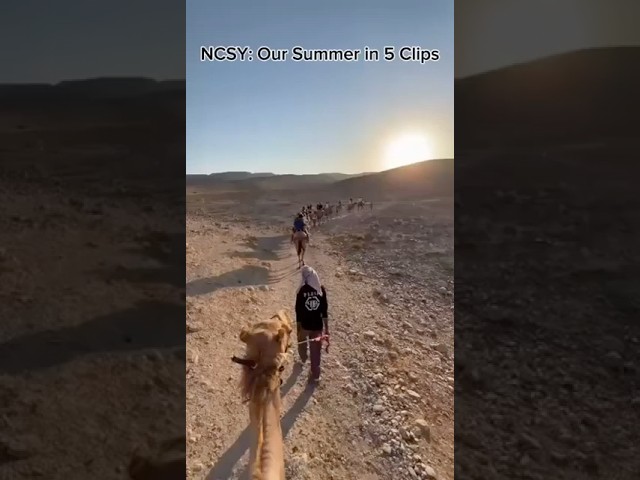 A snapshot of what summer with NCSY looks like in 5 clips
