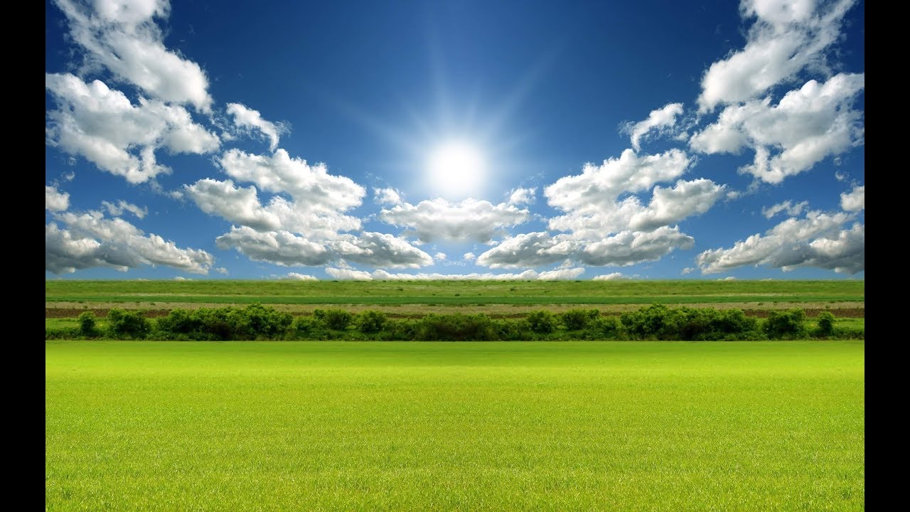How to rise above your nature? - Rabbi Alon Anava