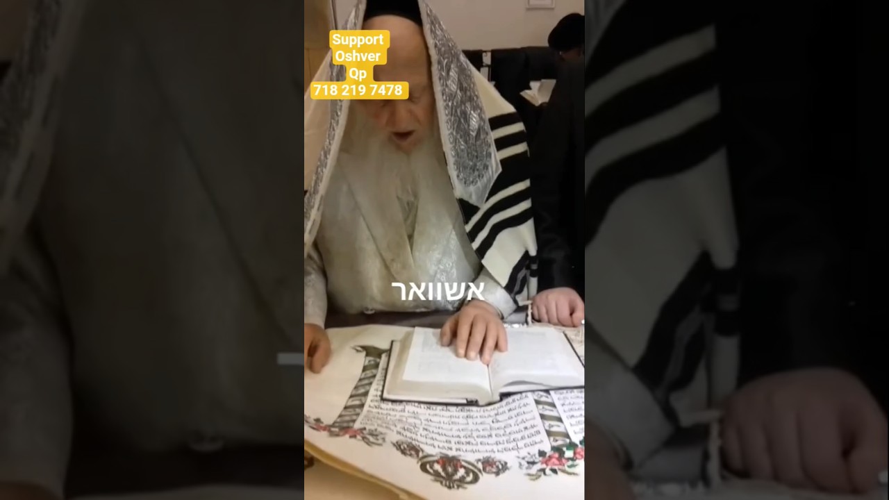 #oshvar #פורים #viral #support #לחיים