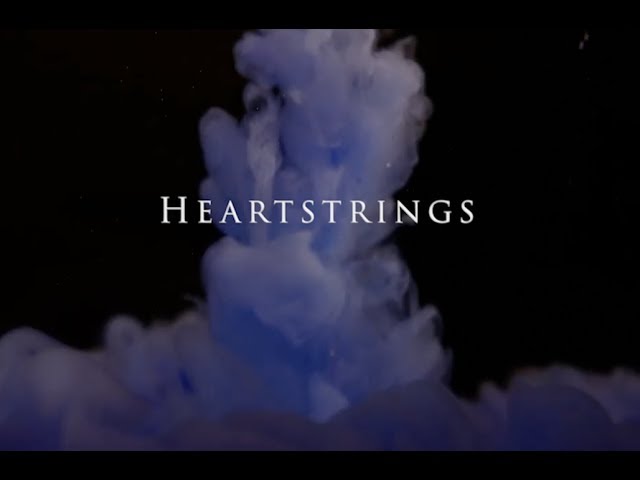 Pinny Schachter - Heartstrings -Why do Bad Things Happen?