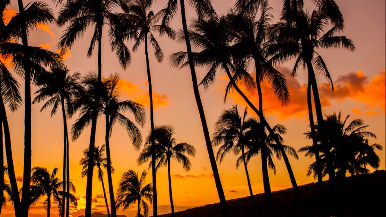 Inside Israel Today: Shaloha from Hawaii Back to Israeli Politics