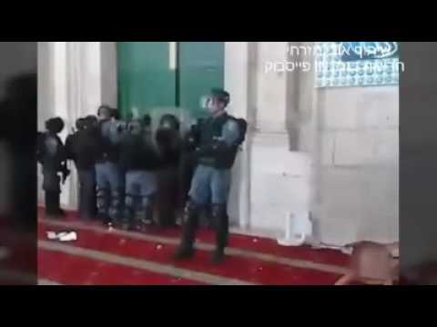 More Islamic violence on Har Habayis